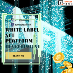 White Label NFT Marketplace Platform