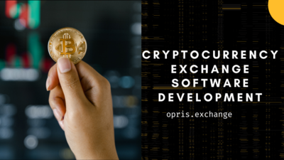 Cryptocurrency exchange Software development