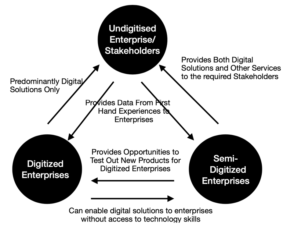 Digitzed, semi-digitized, and undigitized enterprises