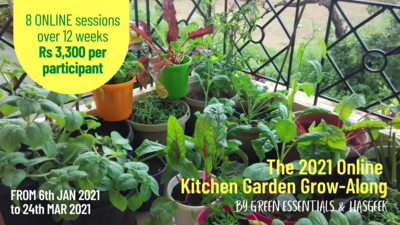 Grow-Along Workshop for Organic Kitchen Gardeners