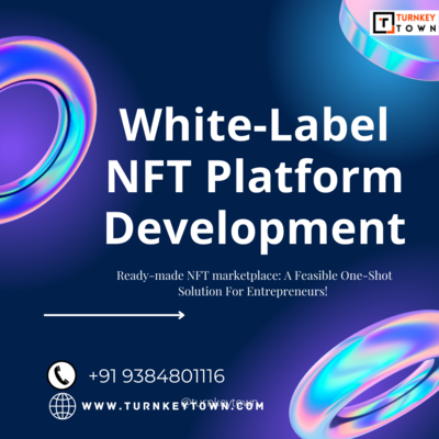 Launch your White Label NFT Marketplace Development Today with Turnkeytown