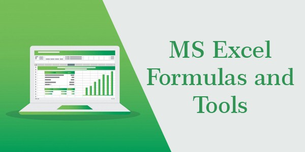 4 Hour Live Virtual Training on MS Excel Formulas and Tools of the Trade