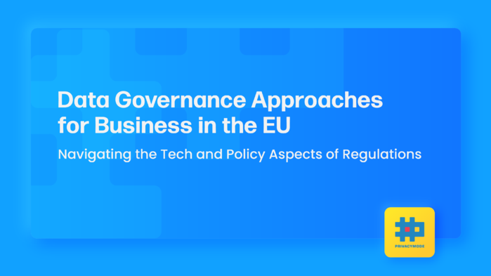 Data Governance Approaches for Business in the EU