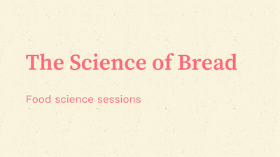 The Science of Bread