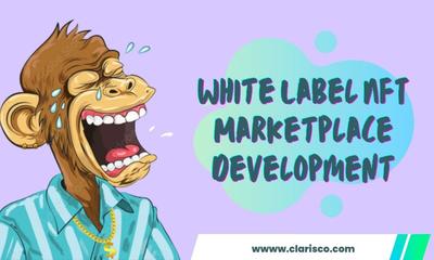 Grab Your White Label Nft Marketplace With A 50% Offers - Clarisco Solution