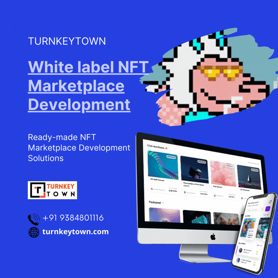 Get Gleaming Profit With Our White Label NFT Marketplace Development!